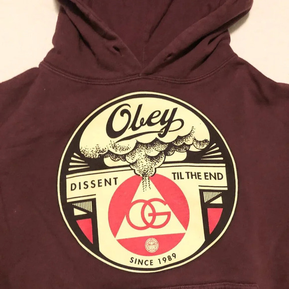 Obey  Hoodie Pullover Womens Size Small Sweatshirt - Picture 2 of 15